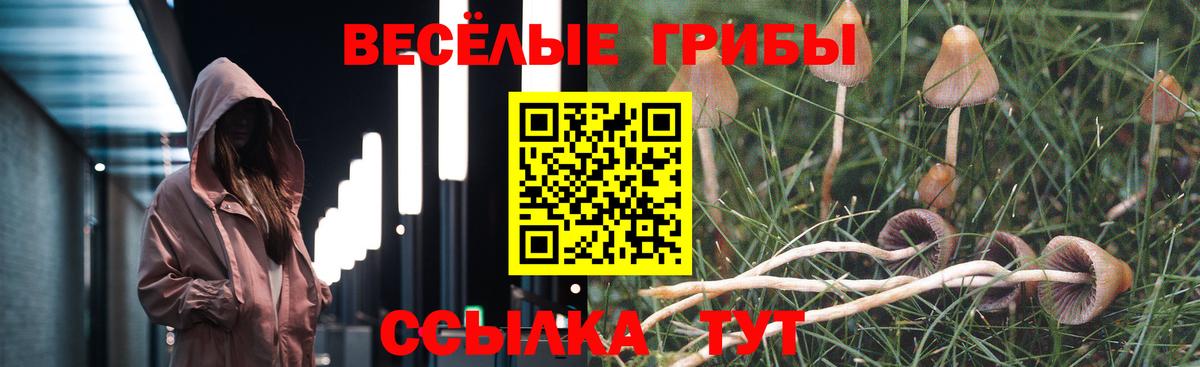 Новокубанск  Псилоцибиновые грибы GOLDEN TEACHER  Вход с VPN 
